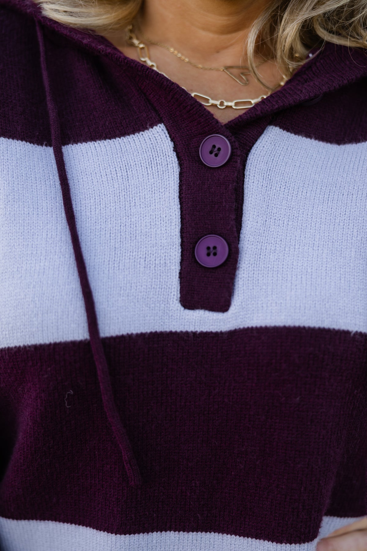 Boston Hooded Sweater