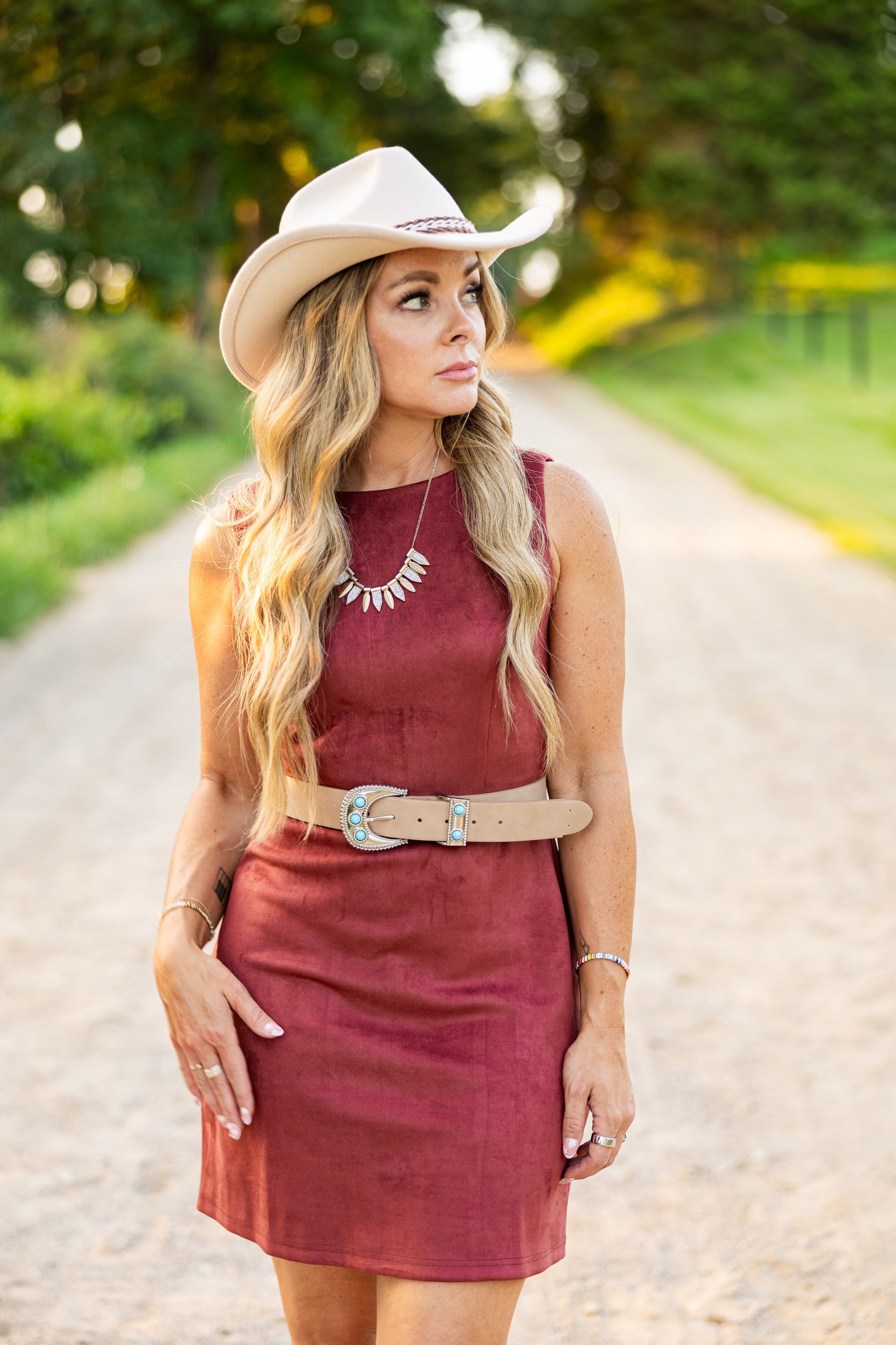 Sonoran Suede Mini Dress