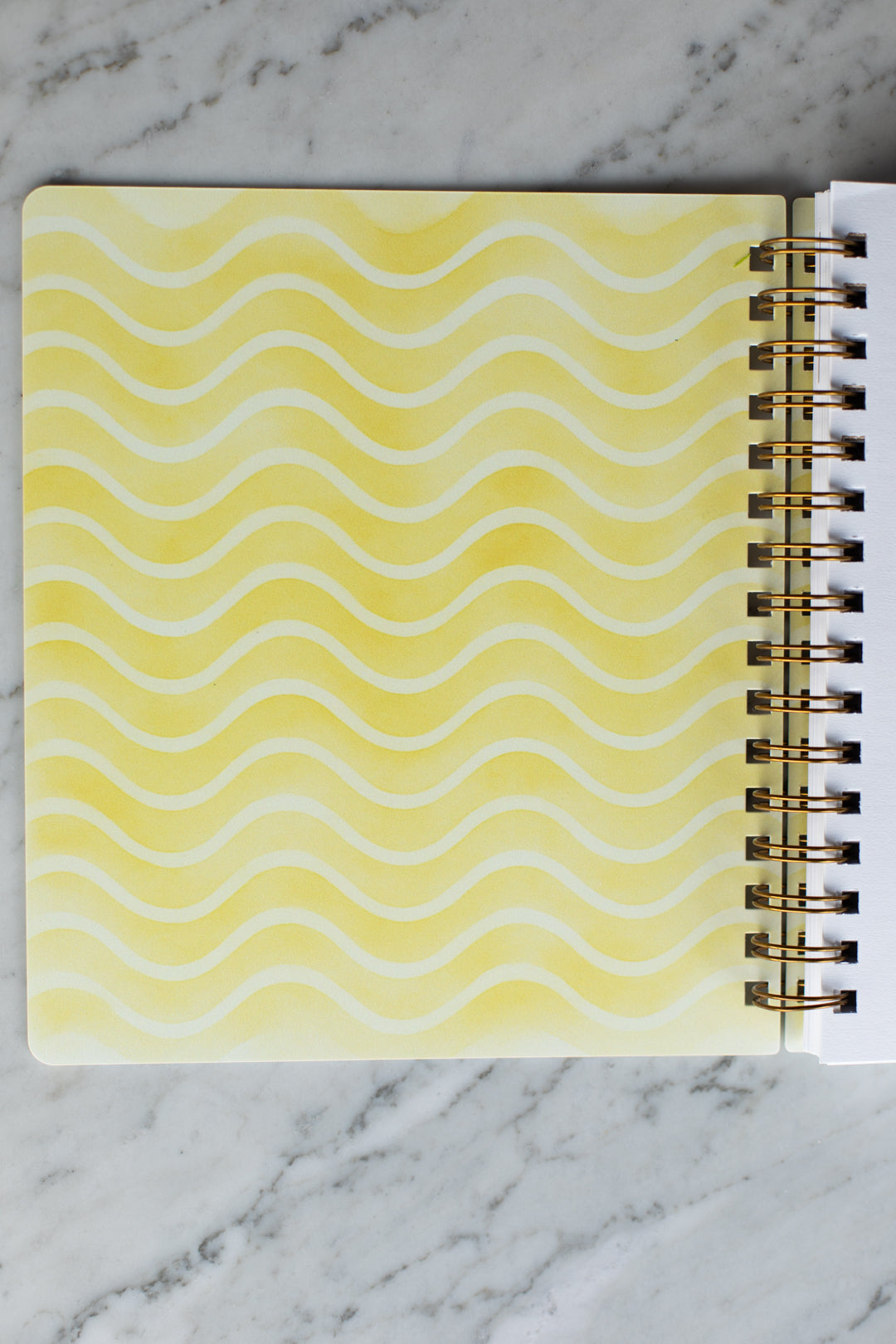 Bundle: 2027 Citrus Stripe Planner + Notepad