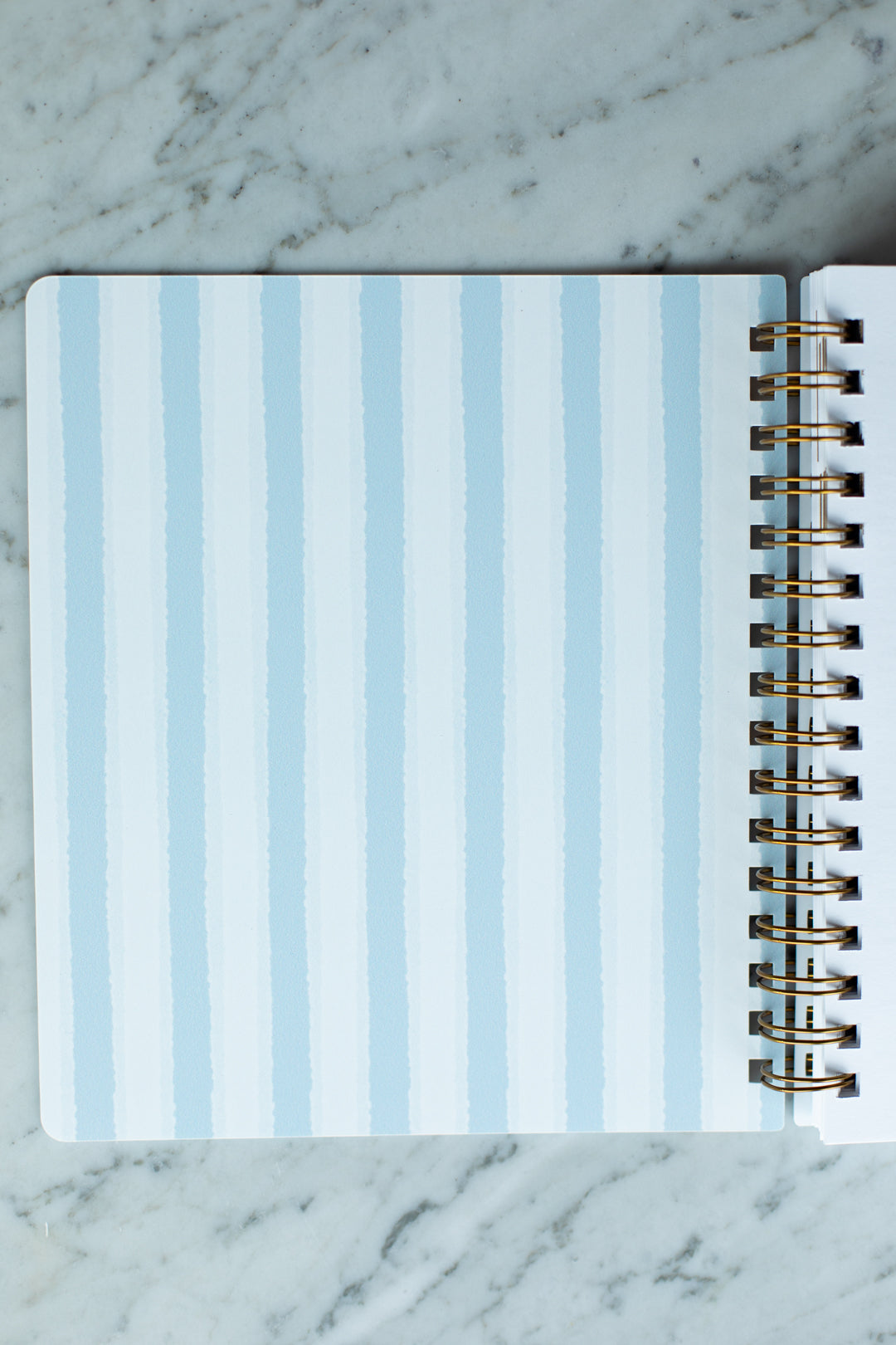 2027 Life + Style Weekly Planner: Orange Grove