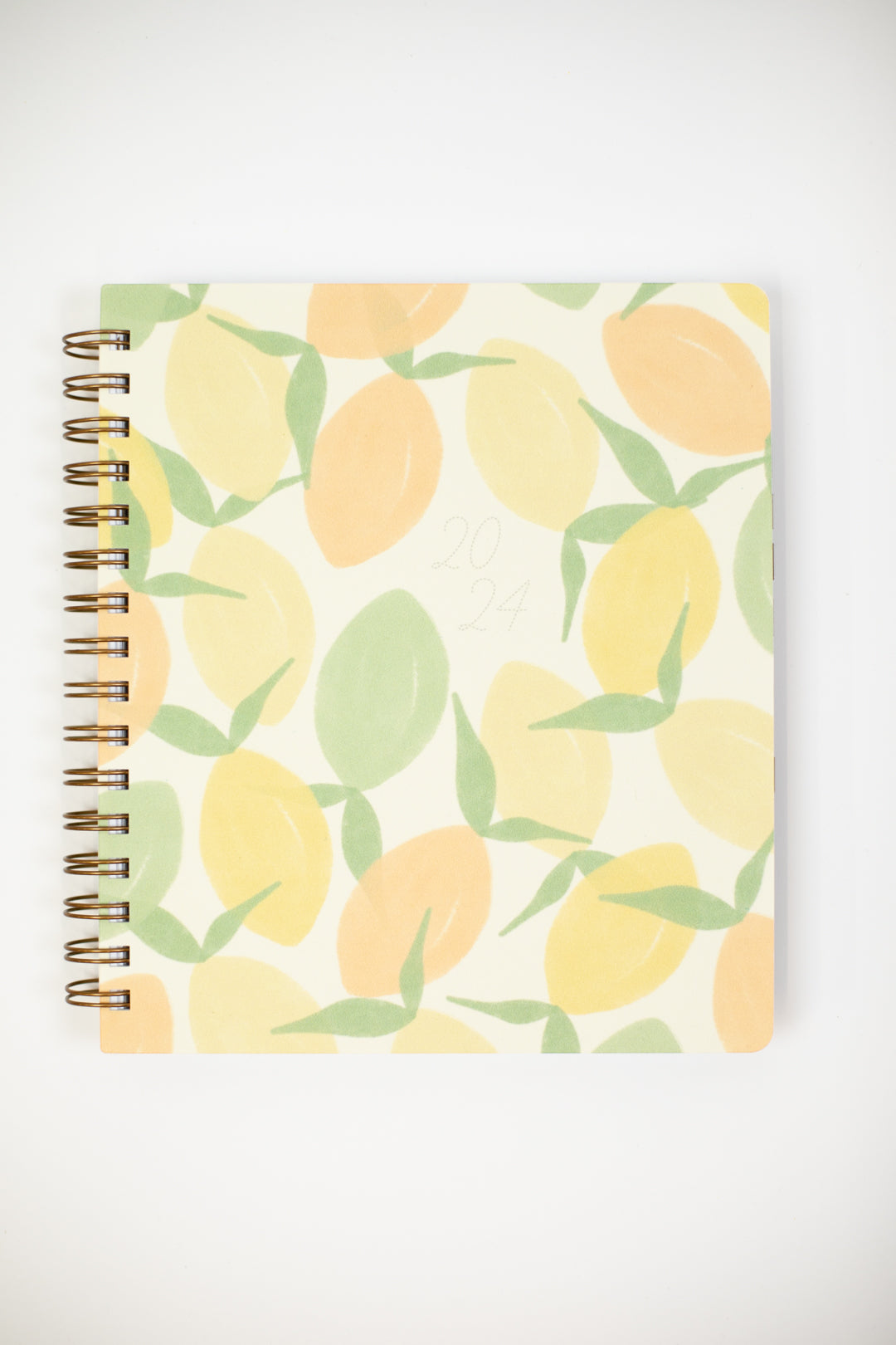 2024 Planner + Notepad Bundle: Citrus Dream