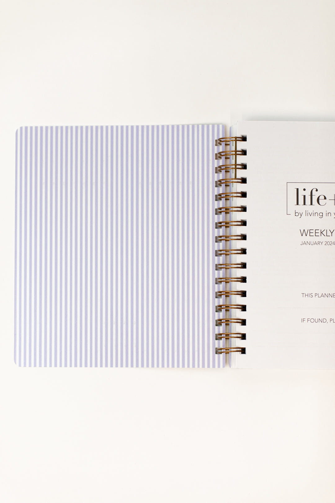 2024 Life + Style Weekly Planner: Hydrangeas