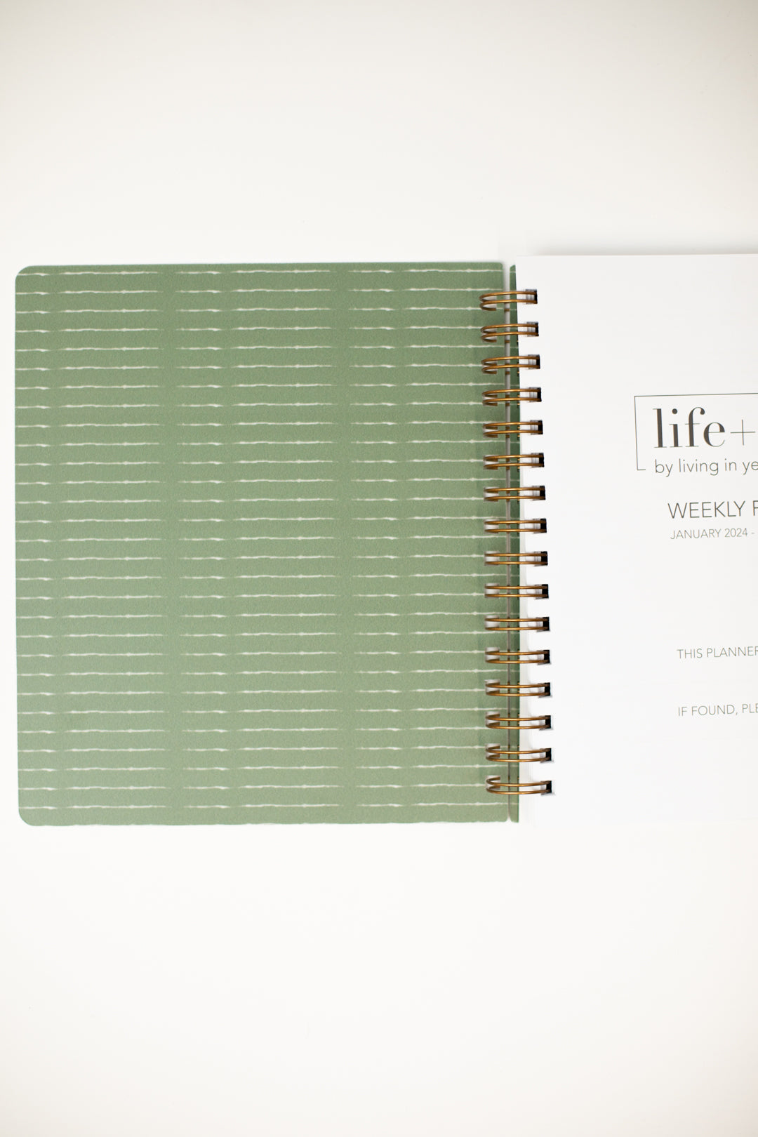 2024 Life + Style Weekly Planner: Olive Paradise