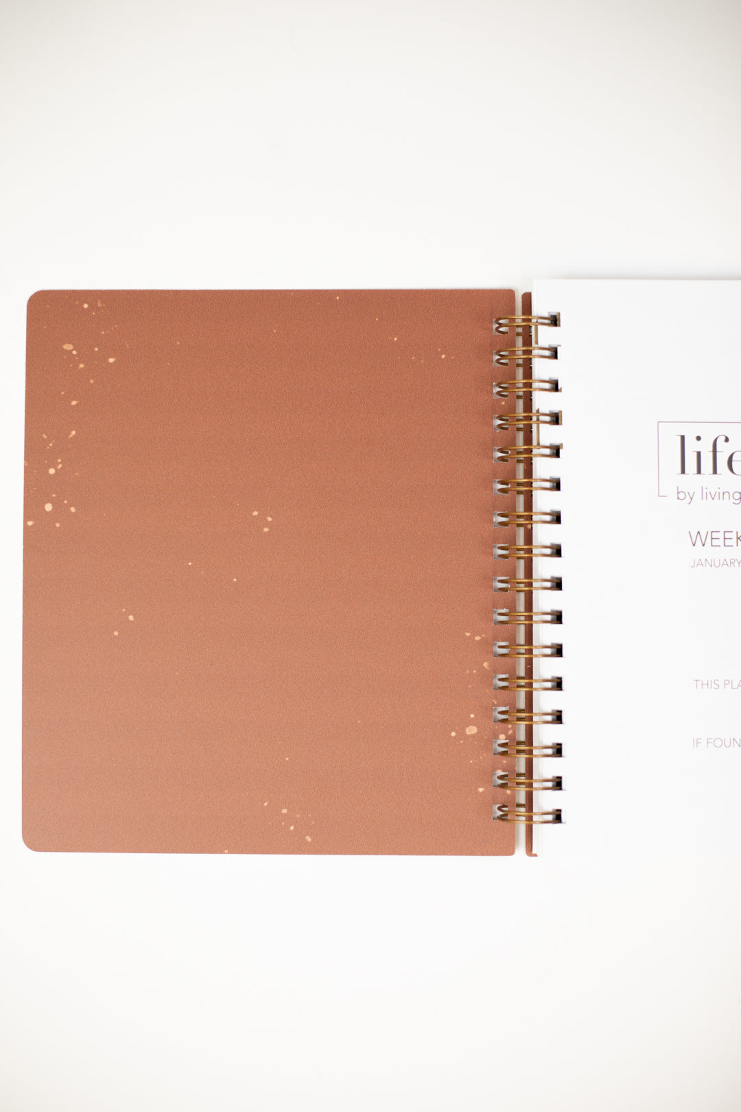 2024 Life + Style Weekly Planner: Terracotta