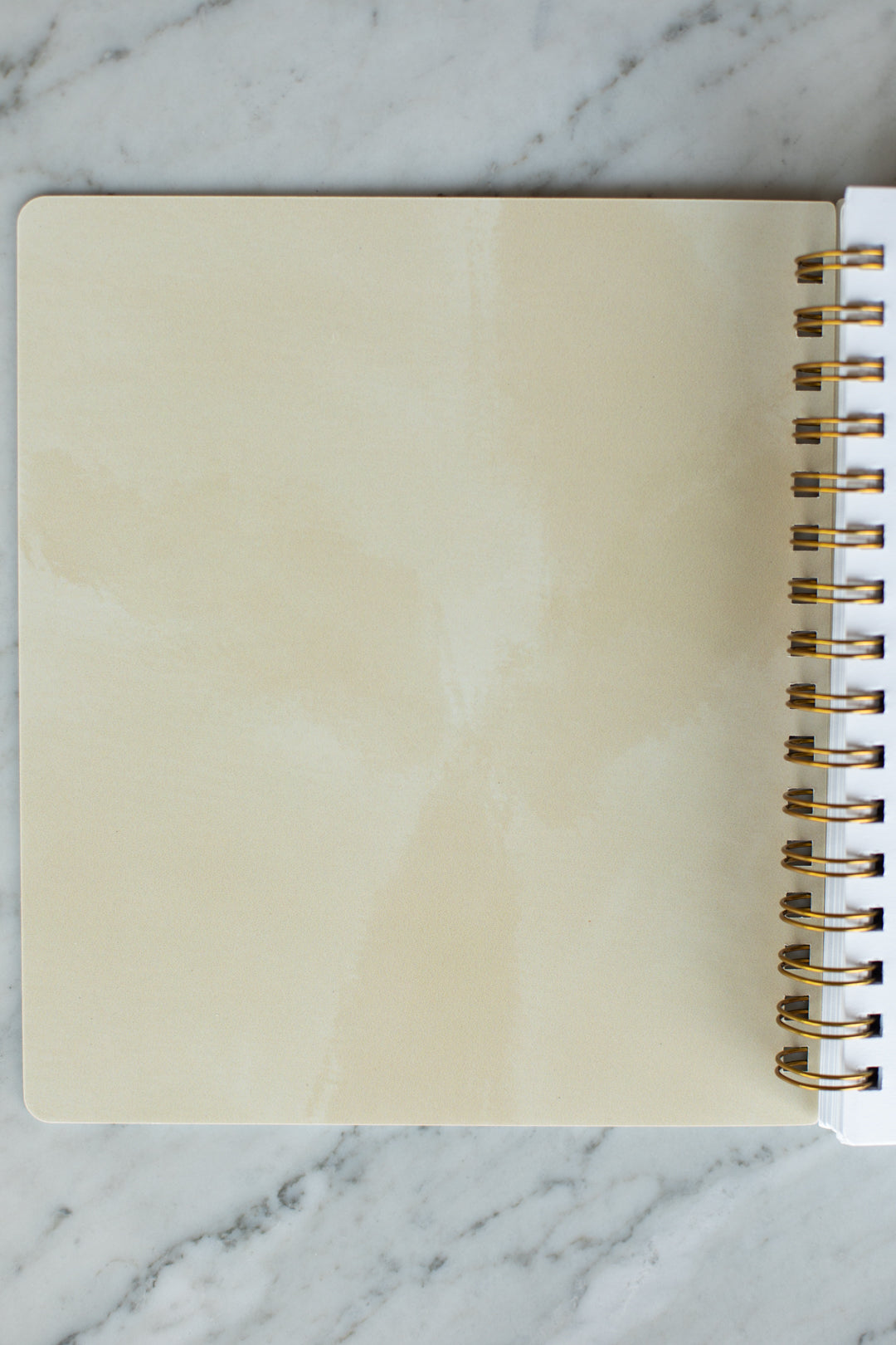 2026 Life + Style Weekly Planner: Tonal Check