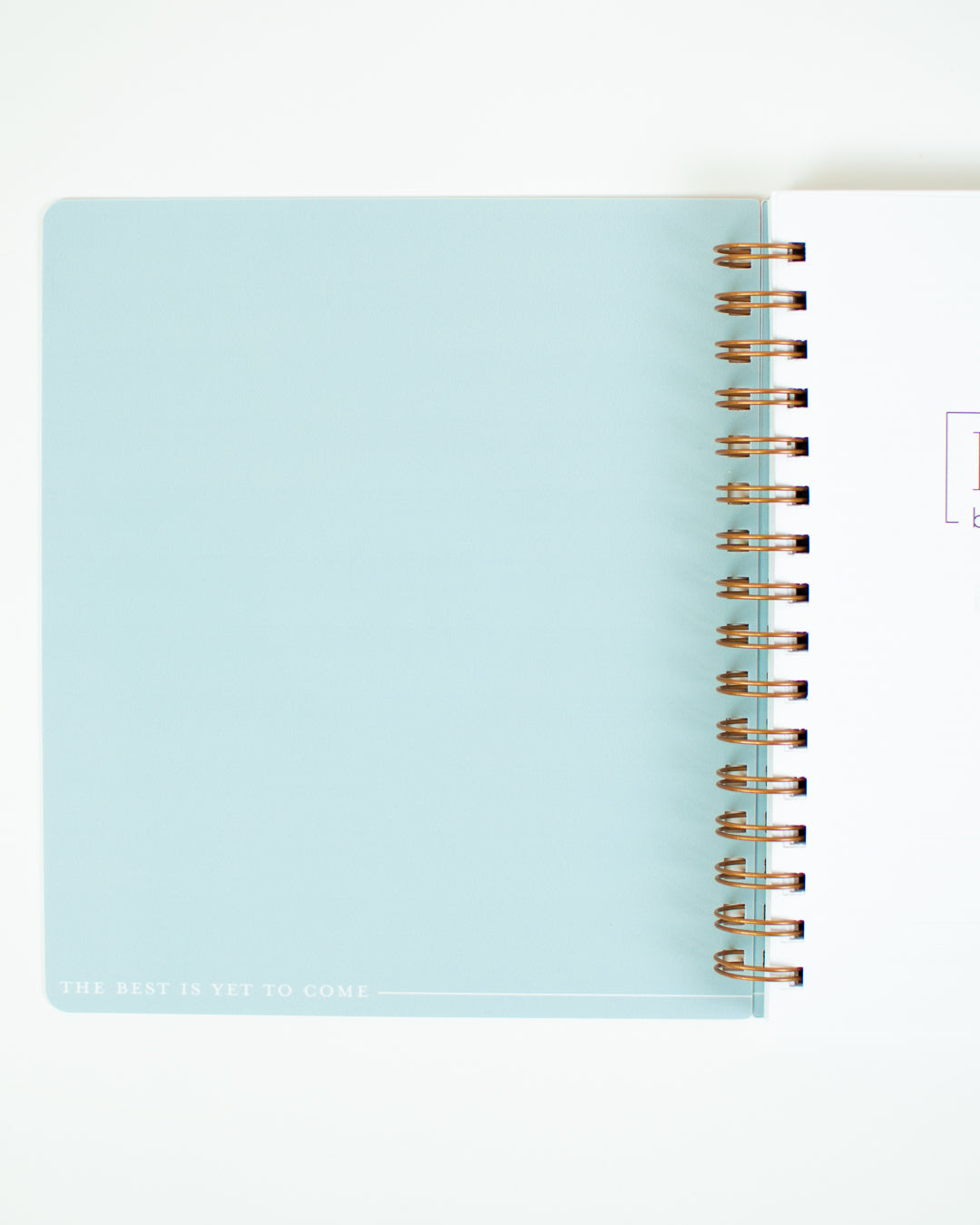 2023 Life + Style Weekly Planner: The Erin